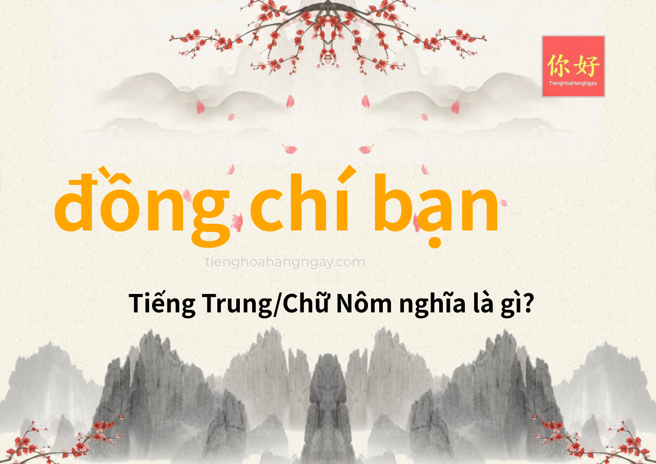 đồng chí bạn tiếng Trung là gì?